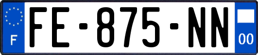 FE-875-NN