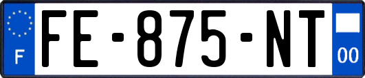 FE-875-NT
