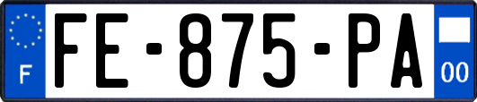 FE-875-PA