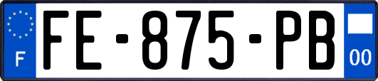 FE-875-PB