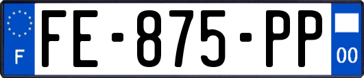 FE-875-PP