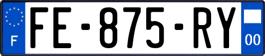 FE-875-RY