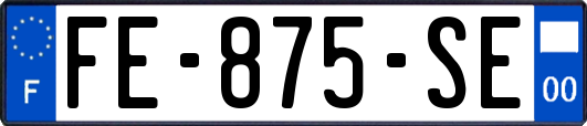 FE-875-SE