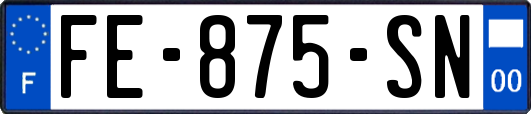 FE-875-SN