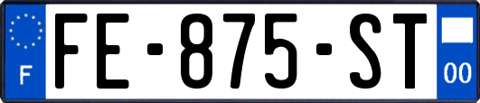 FE-875-ST