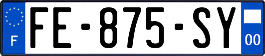 FE-875-SY