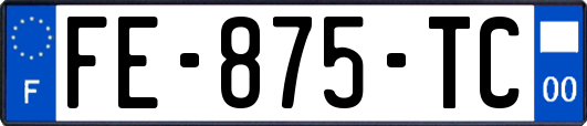 FE-875-TC