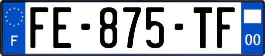 FE-875-TF