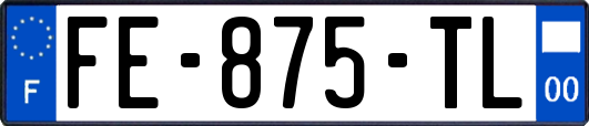 FE-875-TL