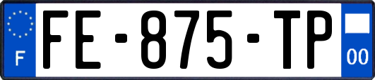 FE-875-TP