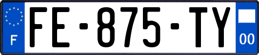 FE-875-TY