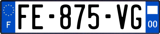 FE-875-VG