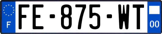 FE-875-WT