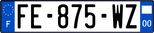 FE-875-WZ