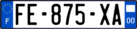 FE-875-XA