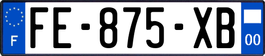 FE-875-XB