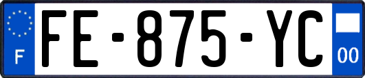 FE-875-YC