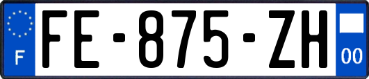 FE-875-ZH