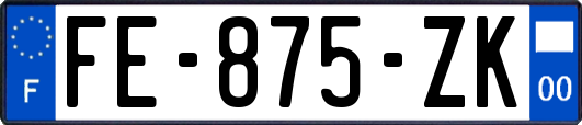 FE-875-ZK