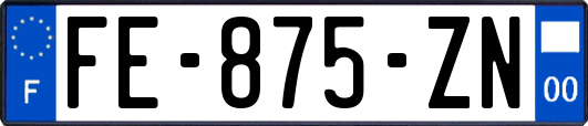 FE-875-ZN