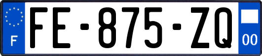 FE-875-ZQ