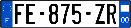 FE-875-ZR