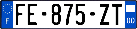 FE-875-ZT