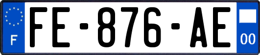 FE-876-AE