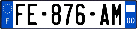 FE-876-AM