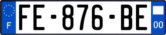 FE-876-BE