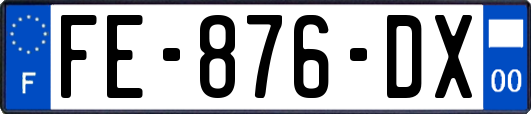 FE-876-DX