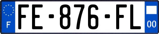 FE-876-FL