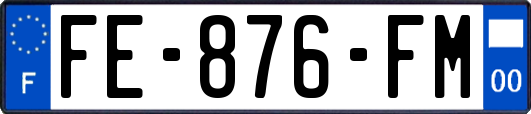 FE-876-FM