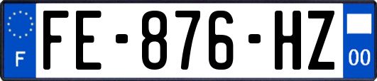 FE-876-HZ