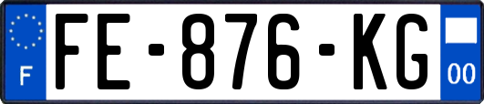 FE-876-KG