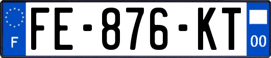 FE-876-KT