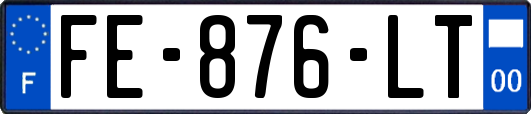 FE-876-LT