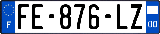 FE-876-LZ
