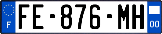 FE-876-MH