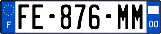 FE-876-MM