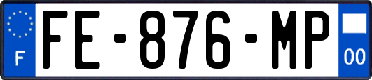 FE-876-MP