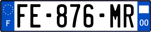 FE-876-MR