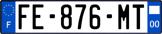 FE-876-MT