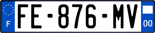 FE-876-MV
