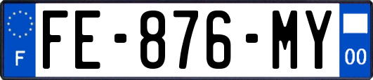 FE-876-MY