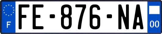 FE-876-NA