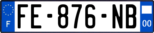 FE-876-NB