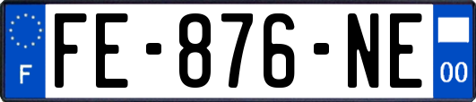 FE-876-NE