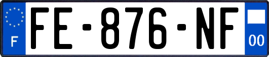 FE-876-NF