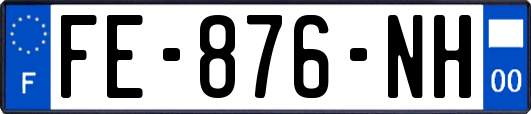 FE-876-NH